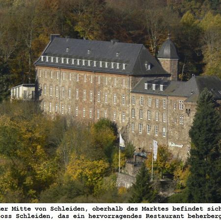 Ferienwohnung Gross A Schleiden Exteriér fotografie