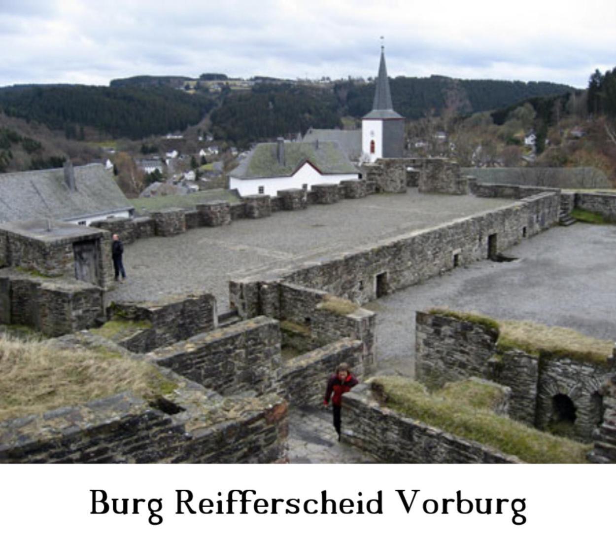 Ferienwohnung Gross A Schleiden Exteriér fotografie