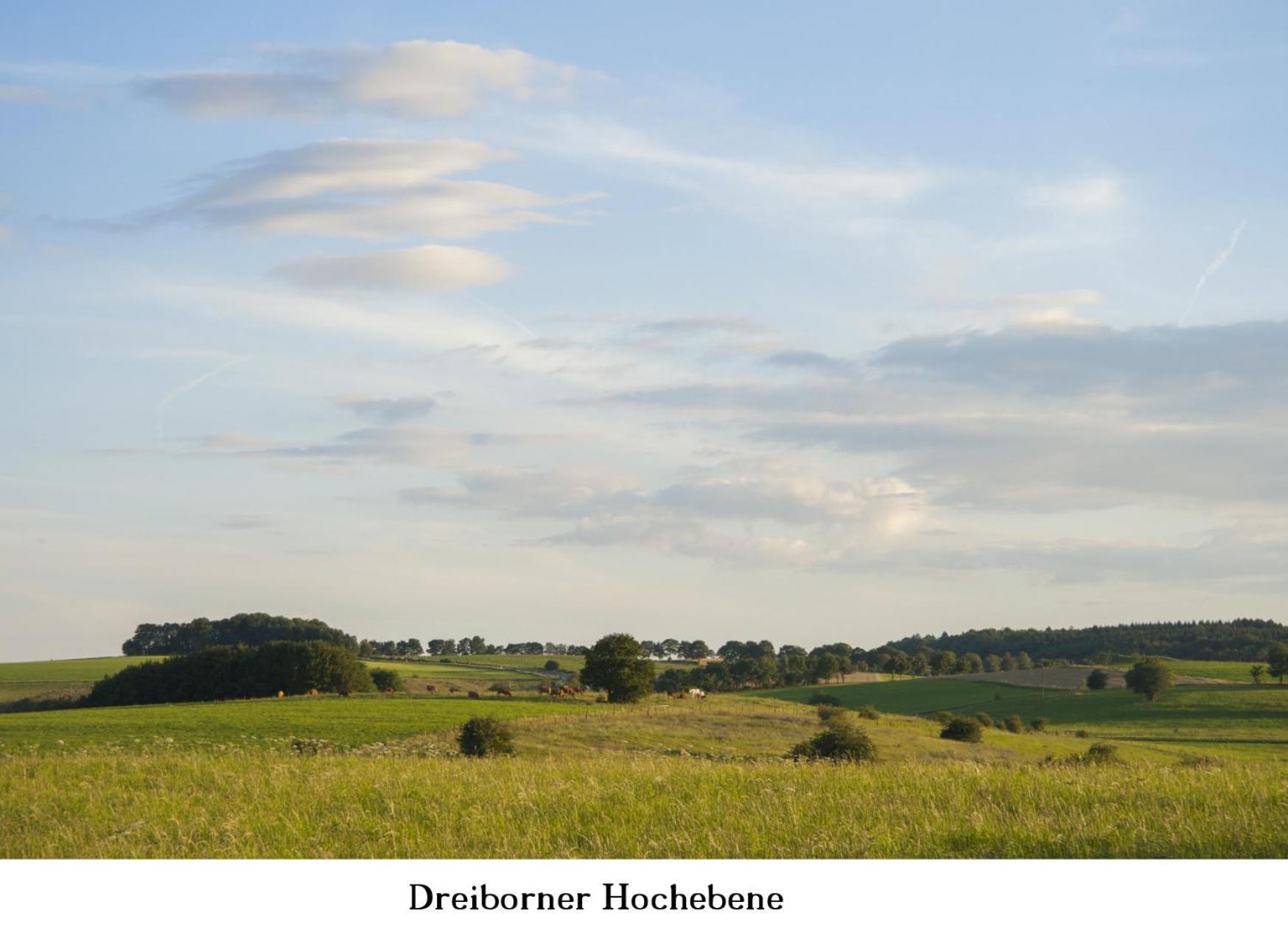 Ferienwohnung Gross A Schleiden Exteriér fotografie