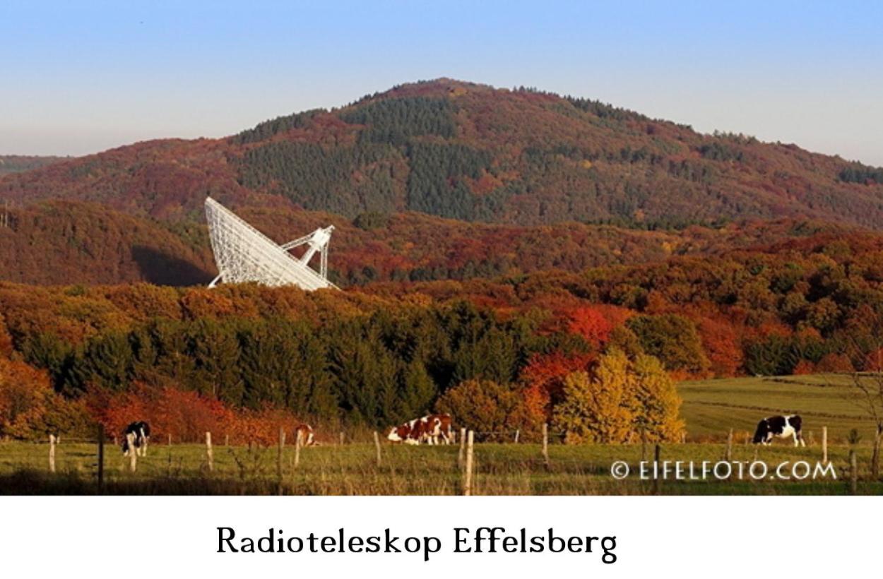 Ferienwohnung Gross A Schleiden Exteriér fotografie