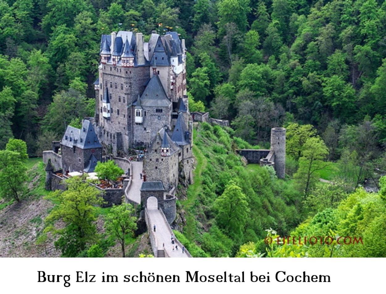 Ferienwohnung Gross A Schleiden Exteriér fotografie
