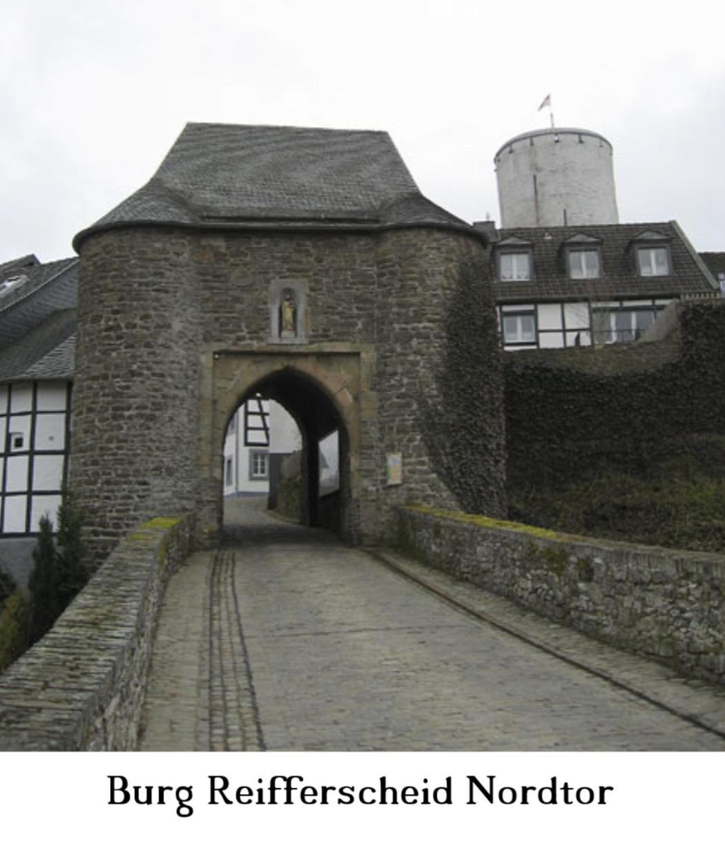 Ferienwohnung Gross A Schleiden Exteriér fotografie