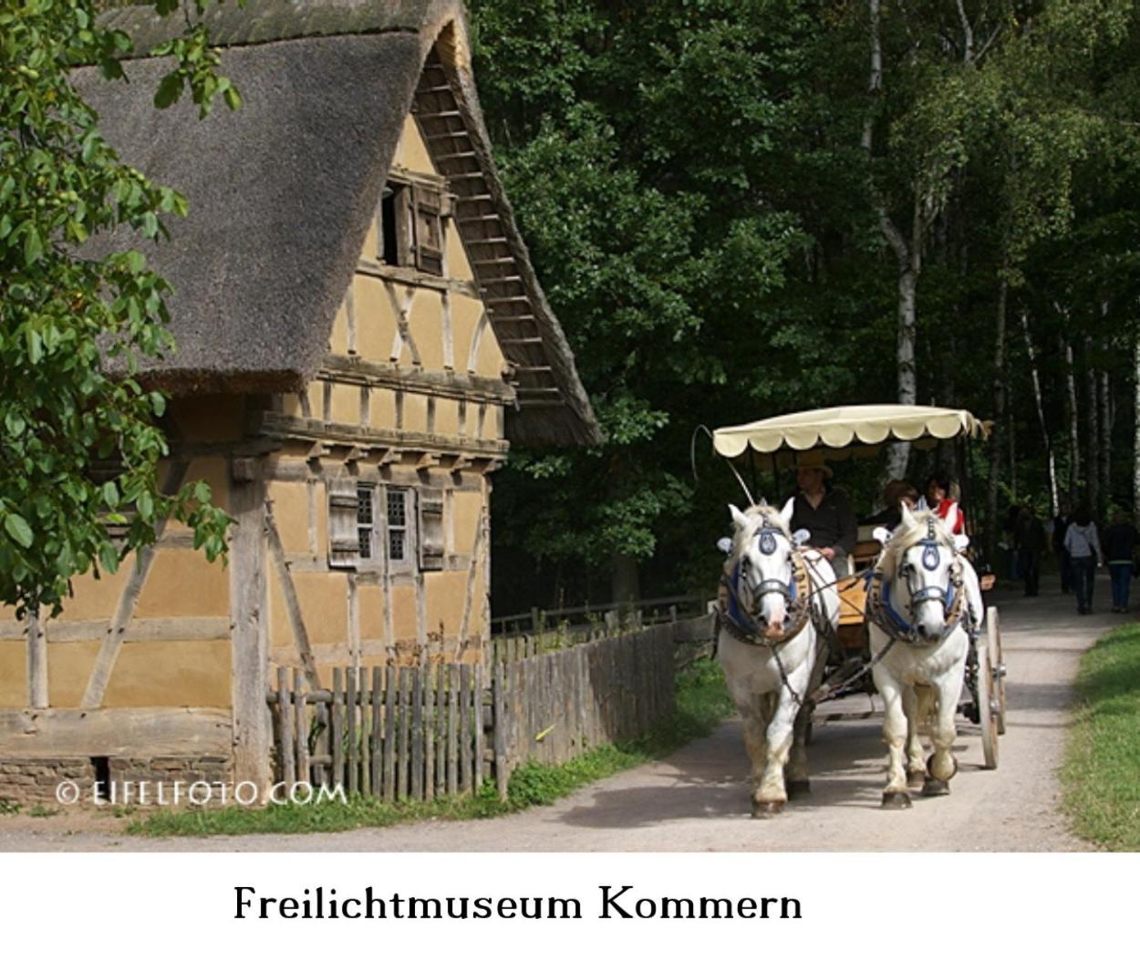 Ferienwohnung Gross A Schleiden Exteriér fotografie