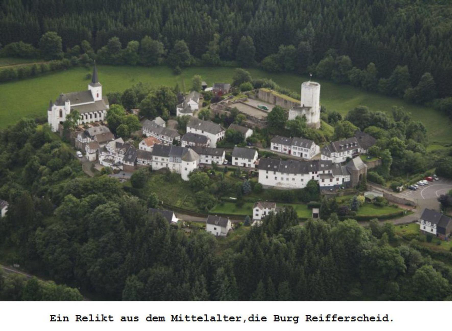 Ferienwohnung Gross A Schleiden Exteriér fotografie