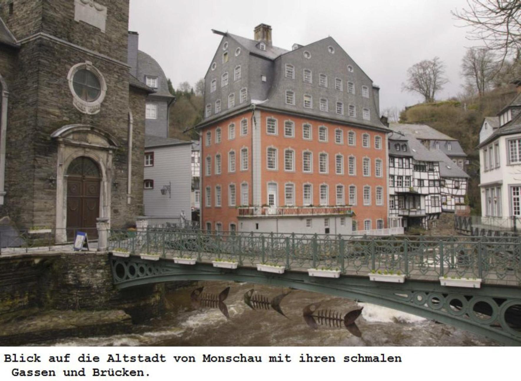 Ferienwohnung Gross A Schleiden Exteriér fotografie