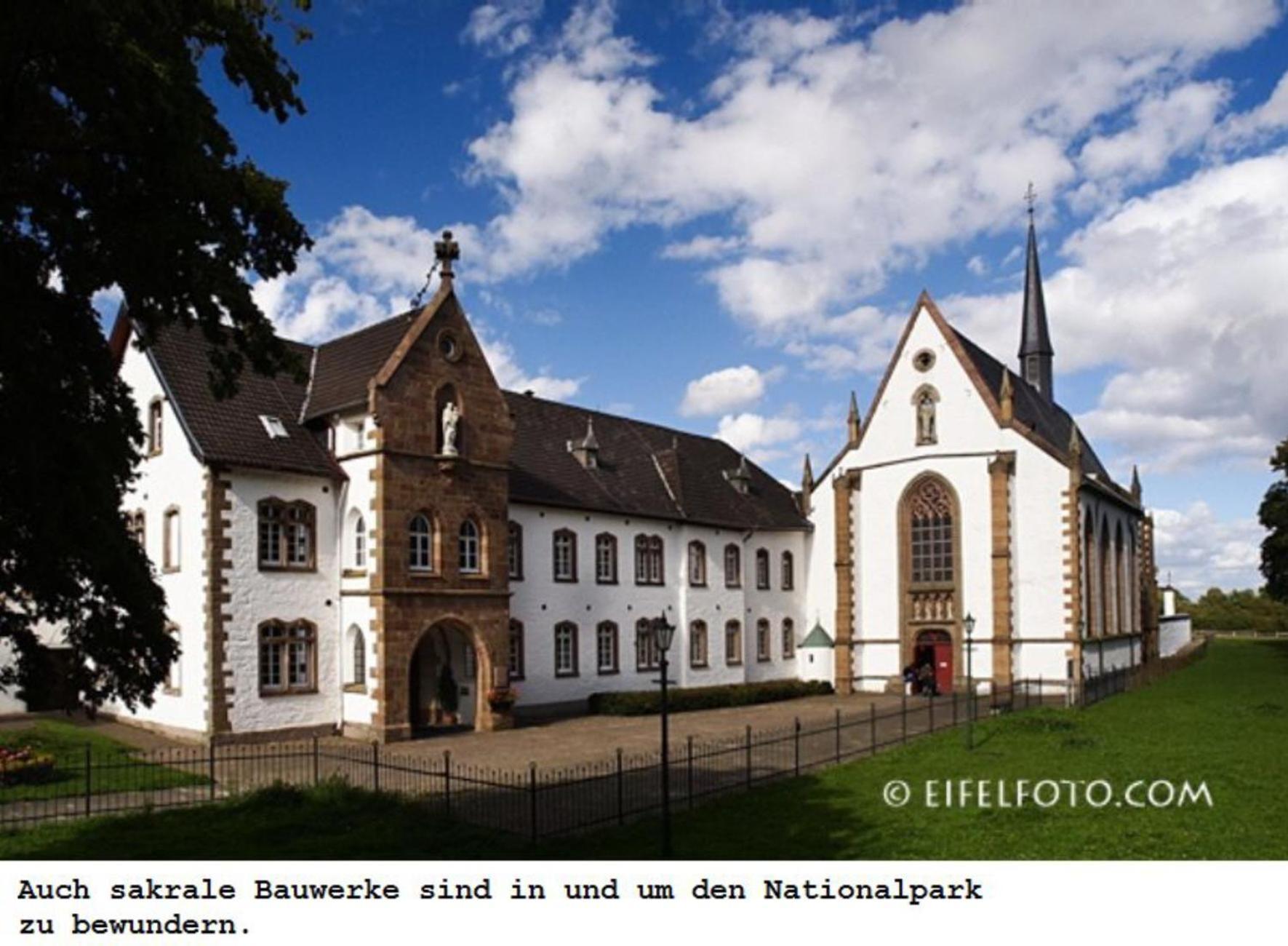 Ferienwohnung Gross A Schleiden Exteriér fotografie