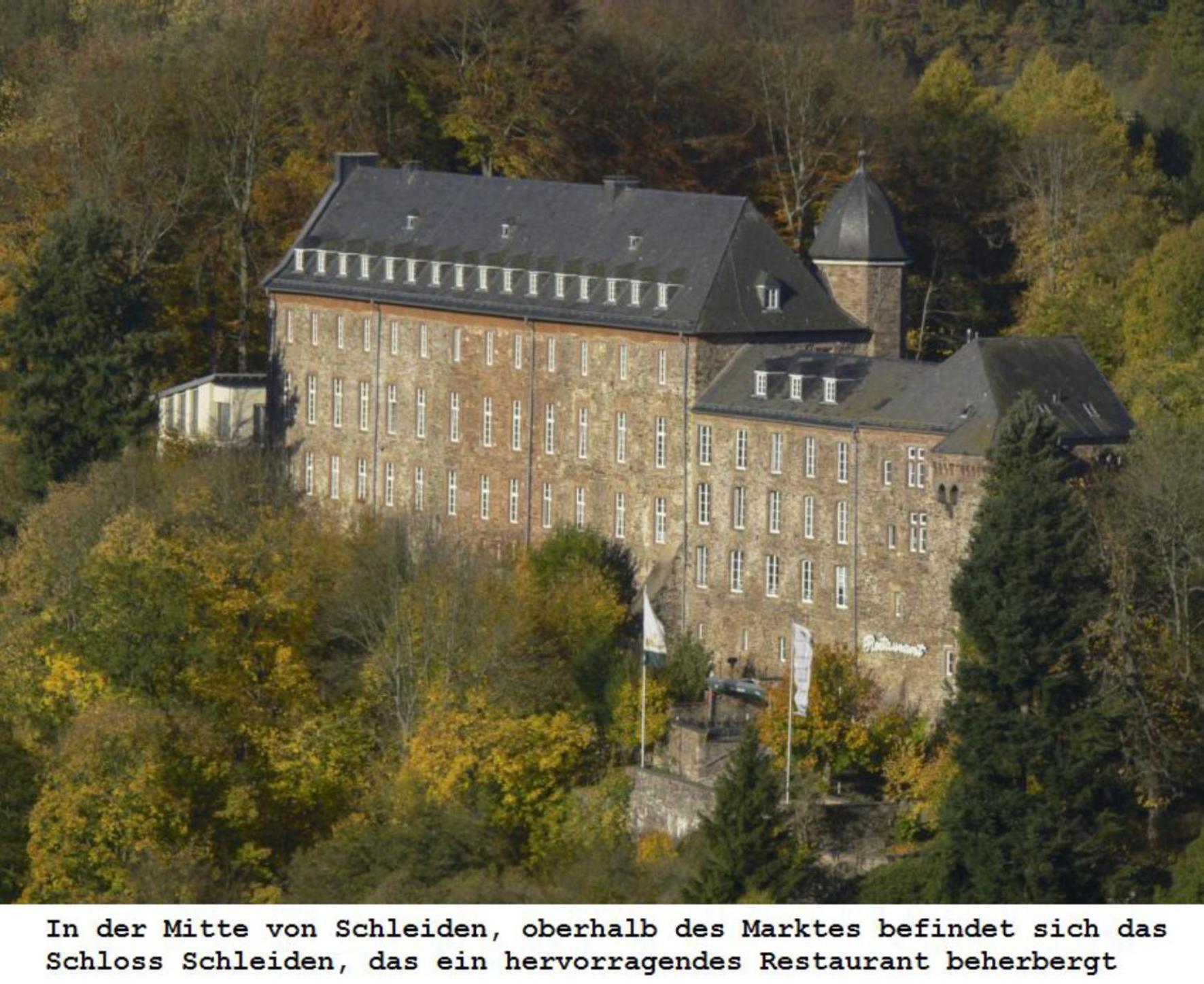 Ferienwohnung Gross A Schleiden Exteriér fotografie