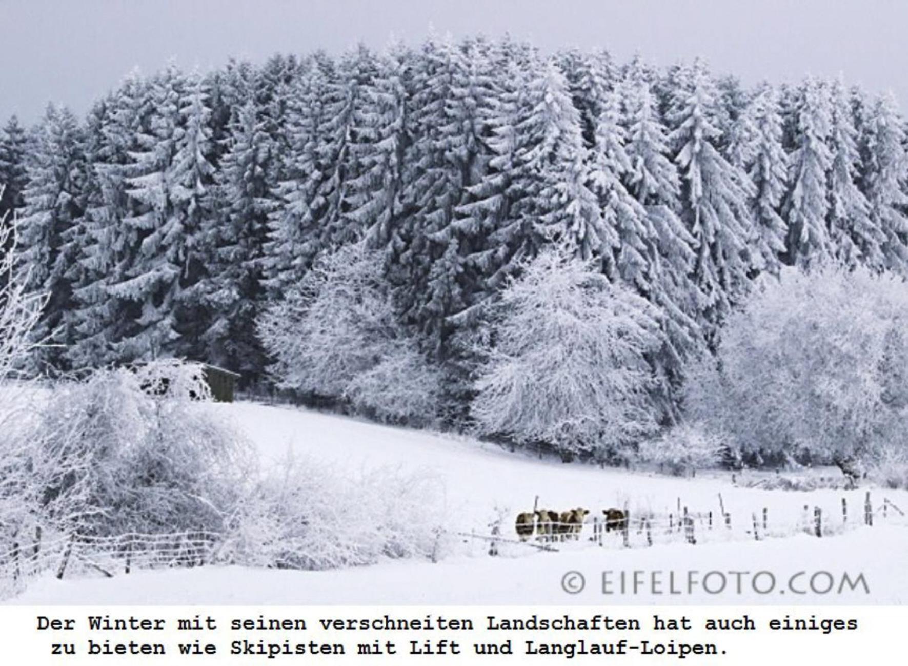 Ferienwohnung Gross A Schleiden Exteriér fotografie